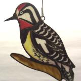 Yellow Bellied Sapsucker Suncatcher