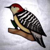 Red Bellied Woodpecker