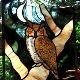 Great Horned Owl Panel