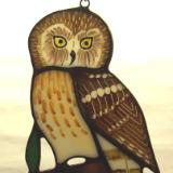 Saw-Whet Owl Suncatcher