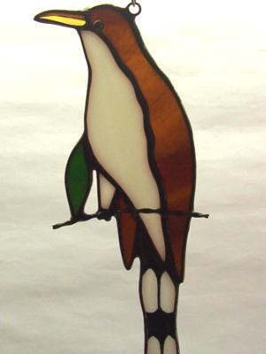 Yellow Billed Cuckoo Suncatcher