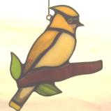 Cedar Waxwing