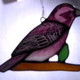 Purple Finch Sun Catcher