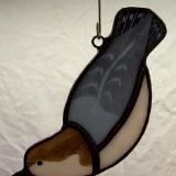 brown-headed nuthatch