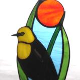 Yellow Headed Black Bird
