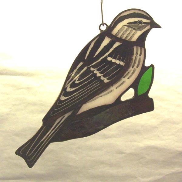 Black & White Warbler