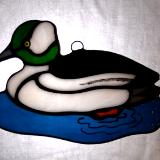 Bufflehead Duck