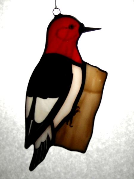 Red Headed Woodpecker