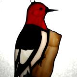 Red Headed Woodpecker