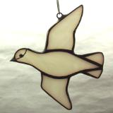 Small White Dove