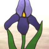 Purple Iris Flower Sun catcher