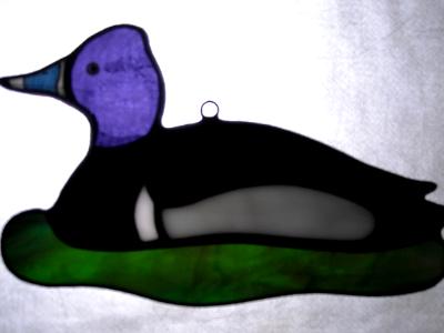 Ring Necked Duck Sun Catcher