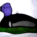 Ring Necked Duck Sun Catcher