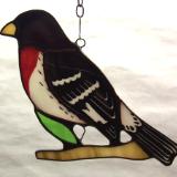 Rose-breasted Grossbeak suncatcher