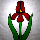 Red Iris Flower Sun Catcher