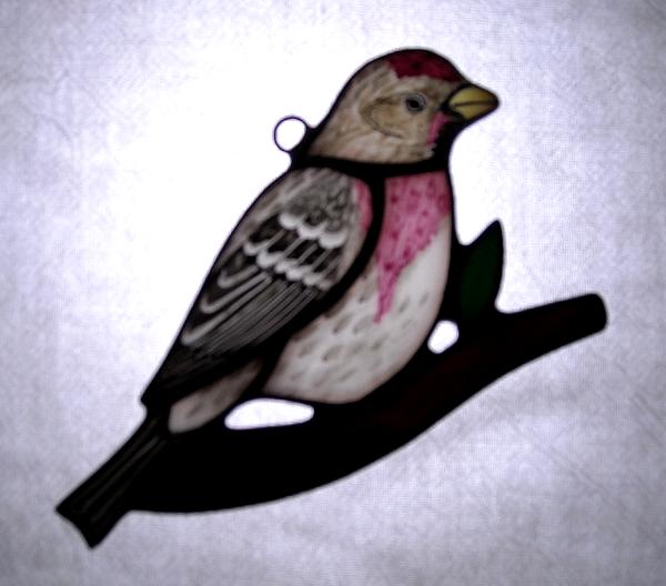 Common Redpoll Sun Catcher