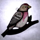 Common Redpoll Sun Catcher