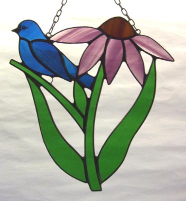 Indigo Bunting in Purple Coneflower