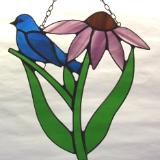 Indigo Bunting in Purple Coneflower